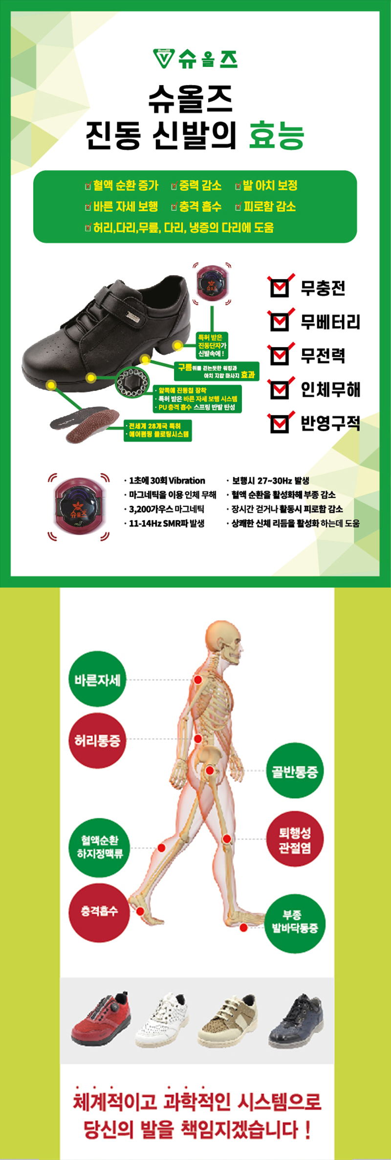 슈올즈부전점_내용_내용